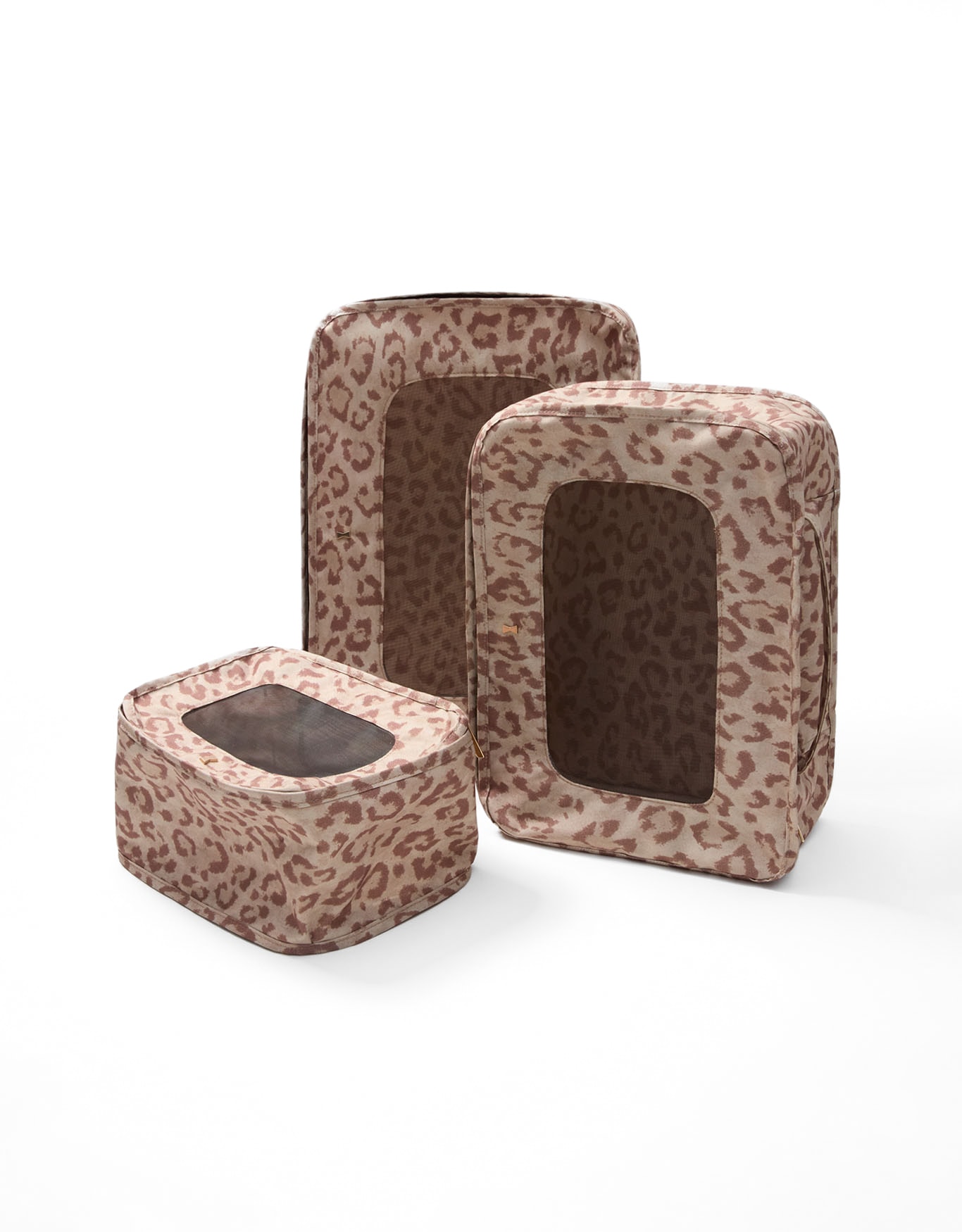 image_eb41e0d3-adbe-47a4-bb12-6982a4ecc270