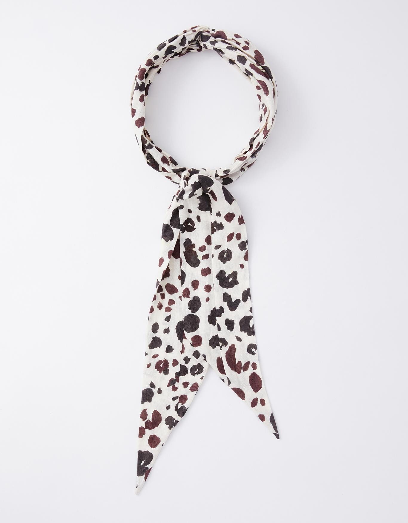 image_917a6c20-7a03-4cce-a112-6ca10f55f552