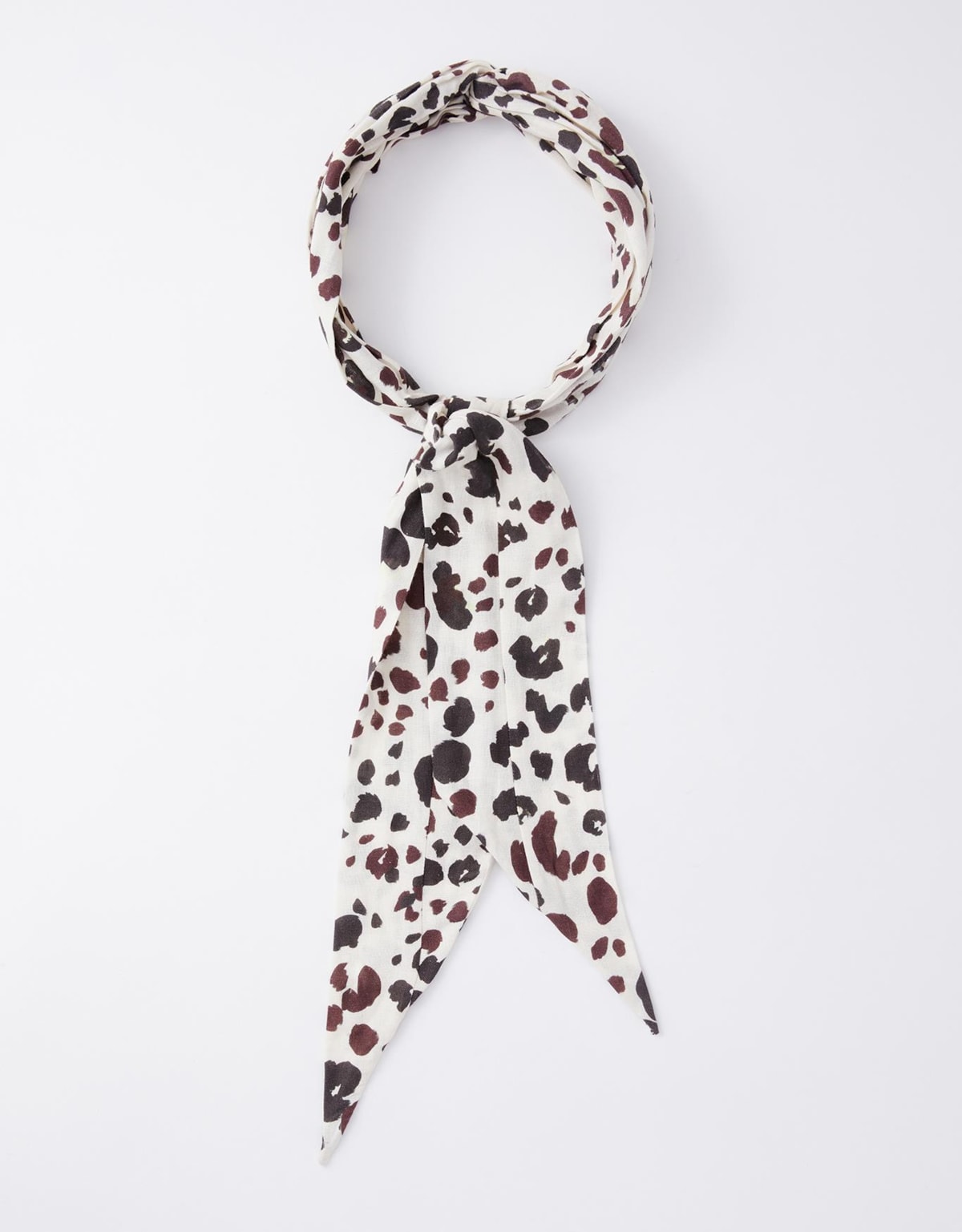 image_d4f47eb0-dda0-4c8f-9593-e4739c36cac9