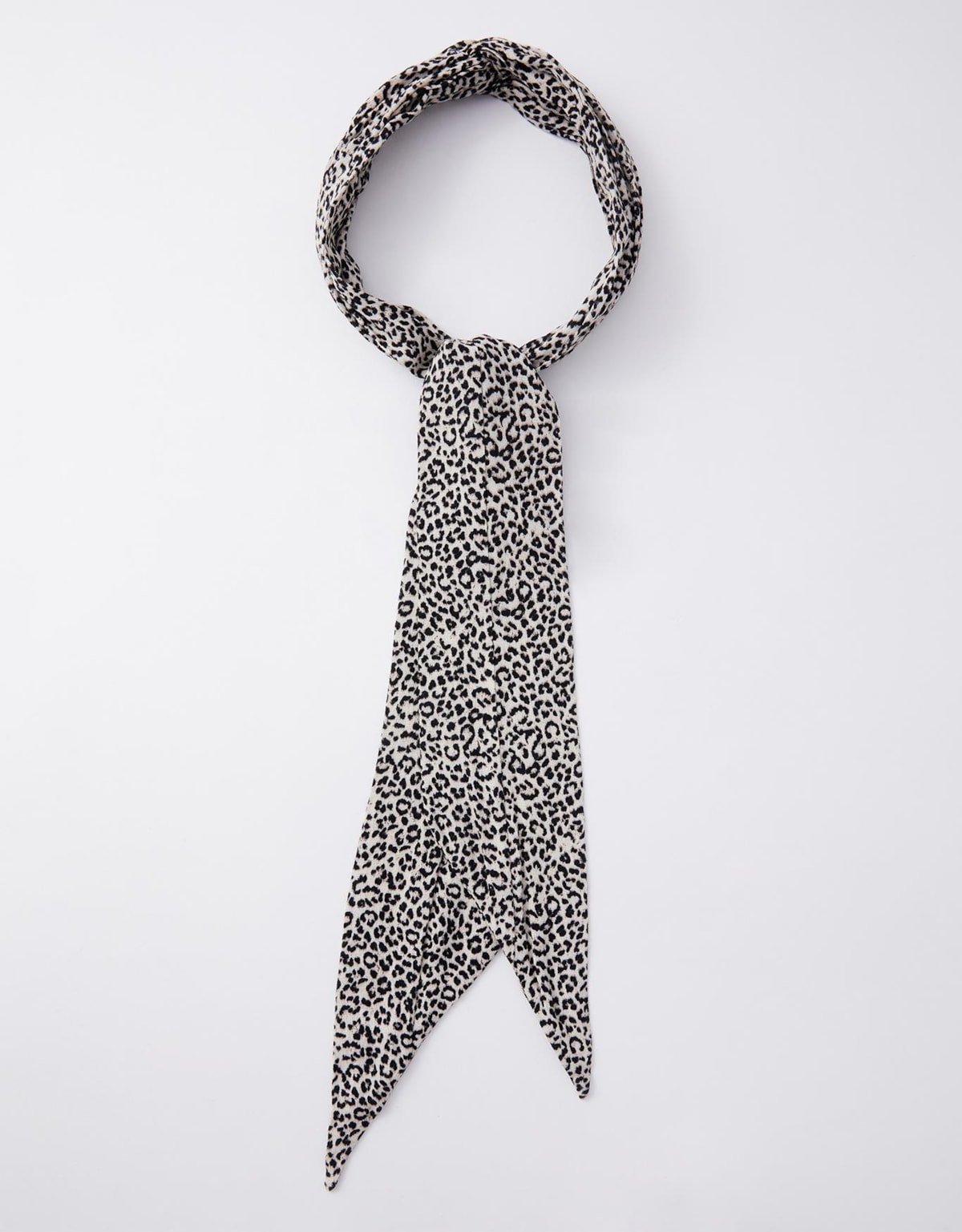 image_b99571df-e5df-4157-b41f-e647c61a1df7