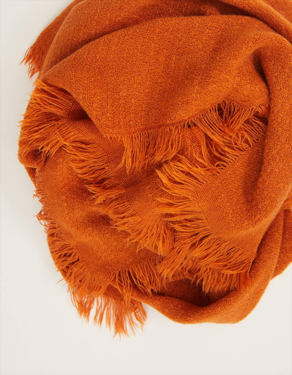 image_025c0416-75ed-43c3-a10f-cda153e4963d