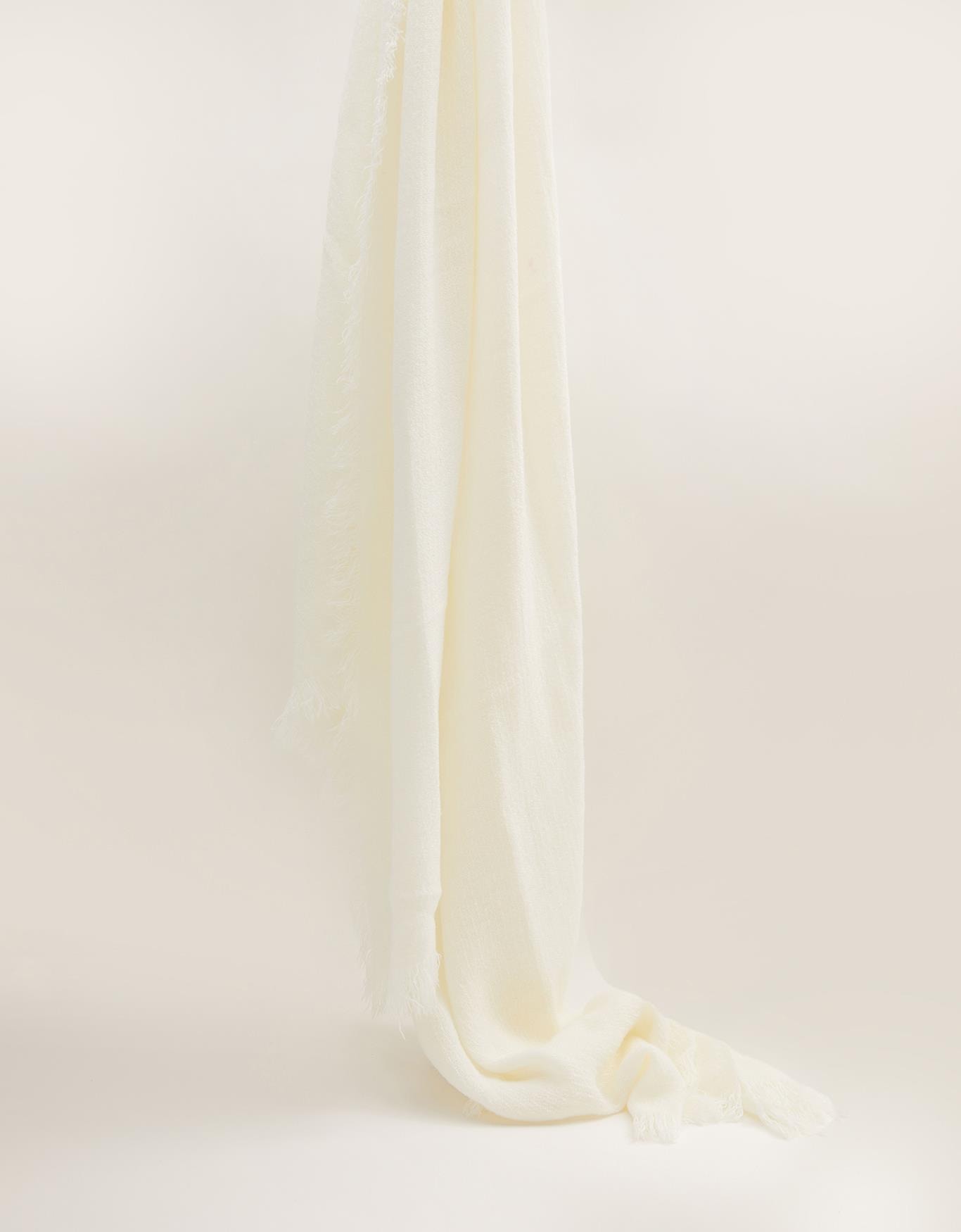 image_c594b83d-a065-4c50-96ac-bd8bb31a704e