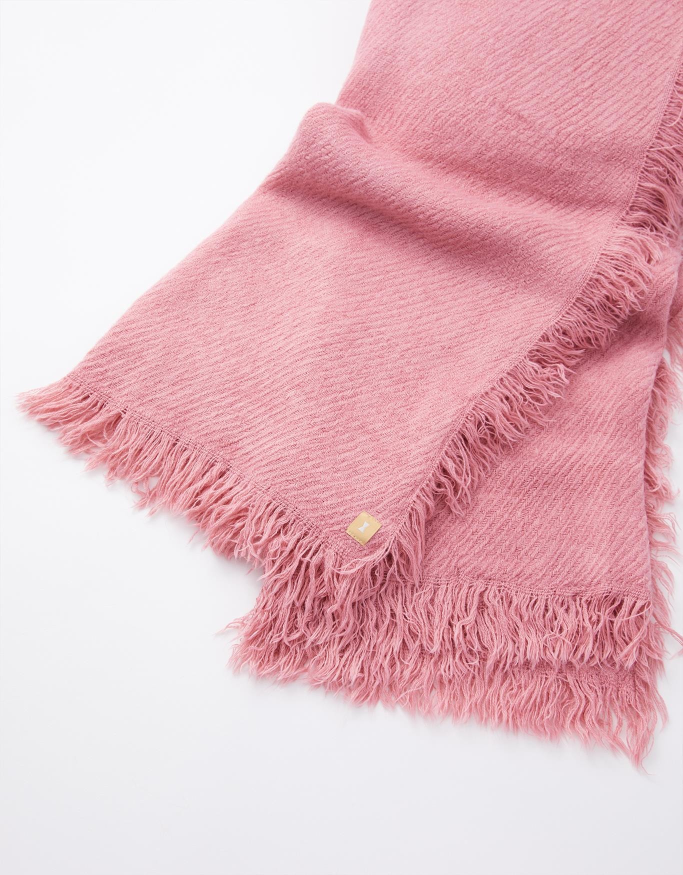 image_ac00853a-4fd5-4884-9b04-8a88c32868d3