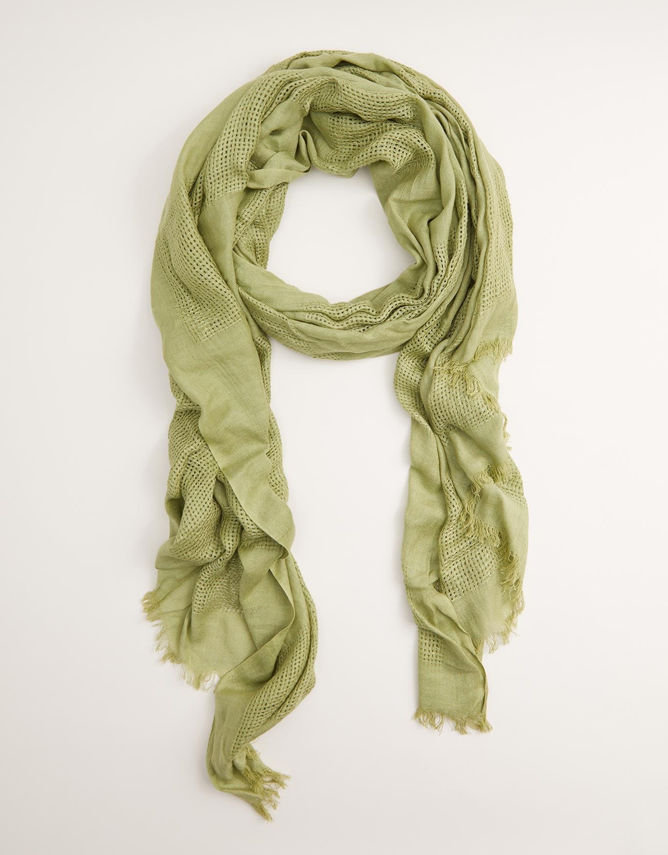 image_54b641aa-a9b8-4f70-bf56-2be55dbeeda6