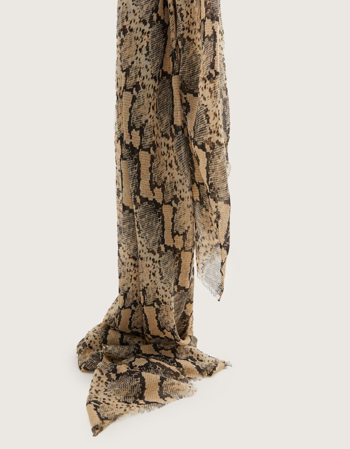 image_981aeb01-fa08-4875-b786-96b9acf7f982