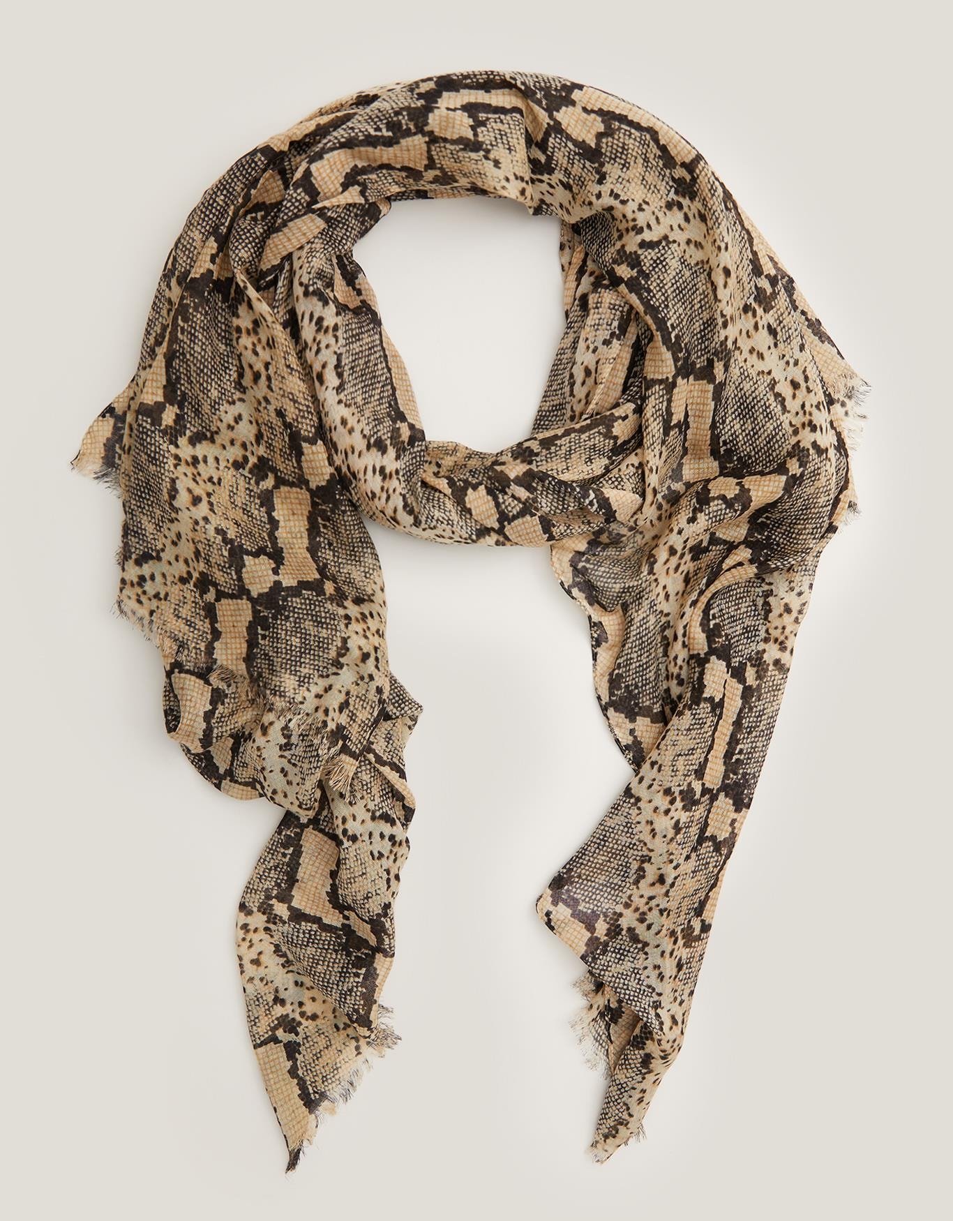 image_2cb5d62a-f0a0-46c9-966c-4cf49d9dd867