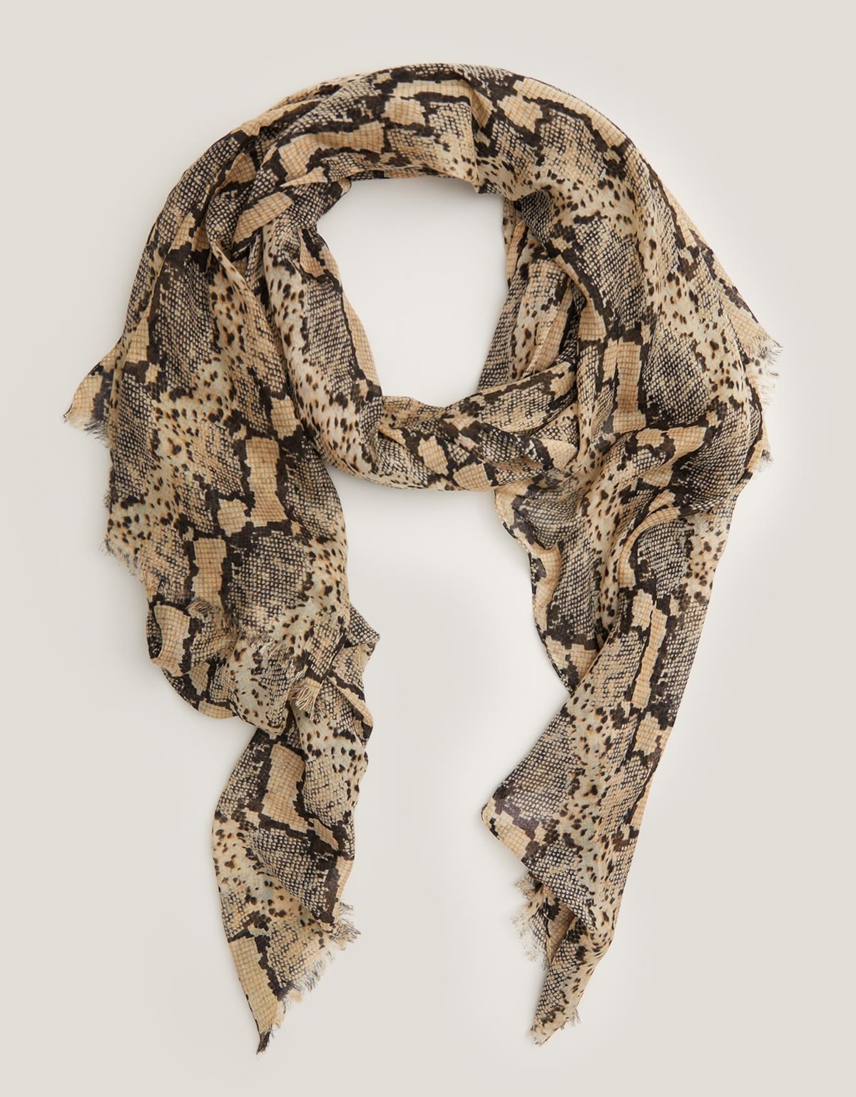 image_b52baaf1-cfe2-4856-8624-601202c5c6b3