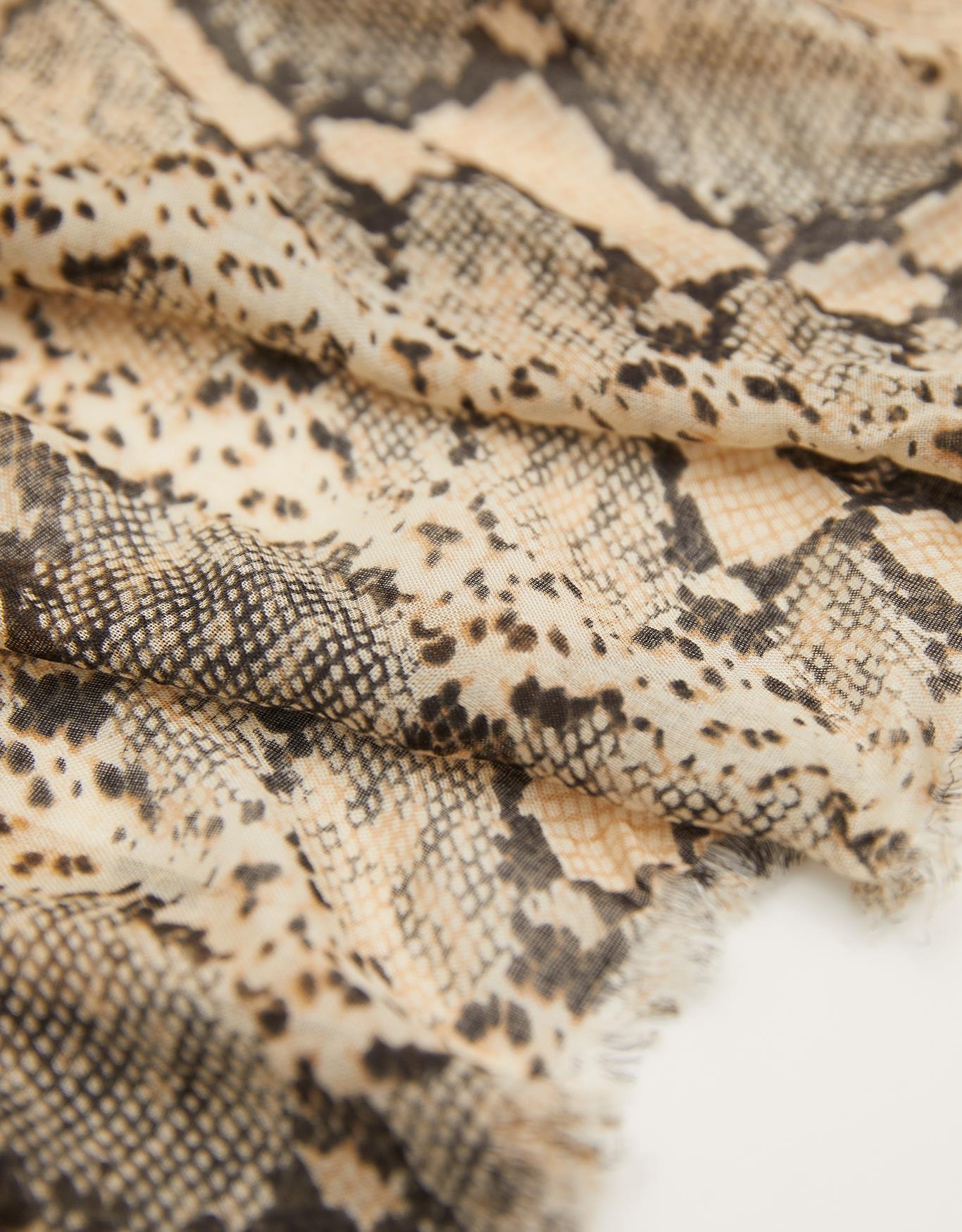 image_5172d3ef-ca3e-4224-ae2d-041072d60774