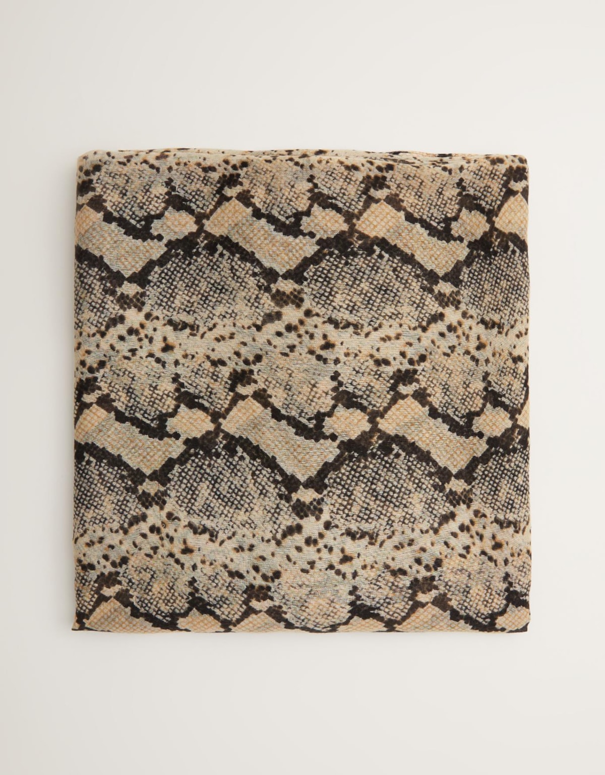 image_443f8a42-8507-49f4-a5cd-4d79fe5522cf