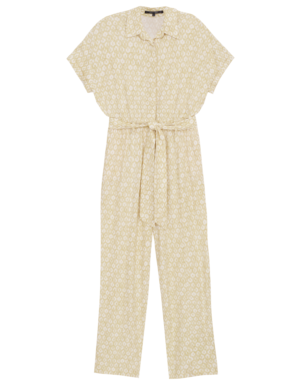 image_efe45876-fed1-42d1-abf7-381e3b74489e