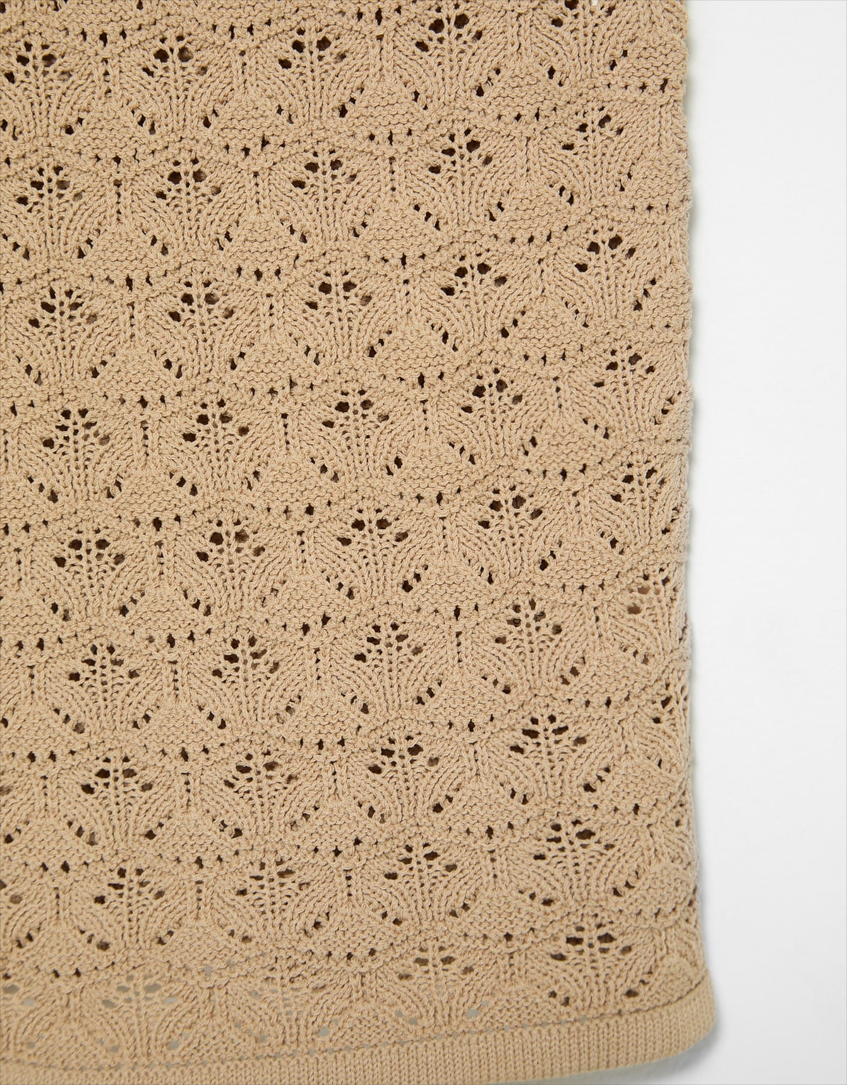 image_2397cd5e-fe4e-4c28-ae78-220bc236135c