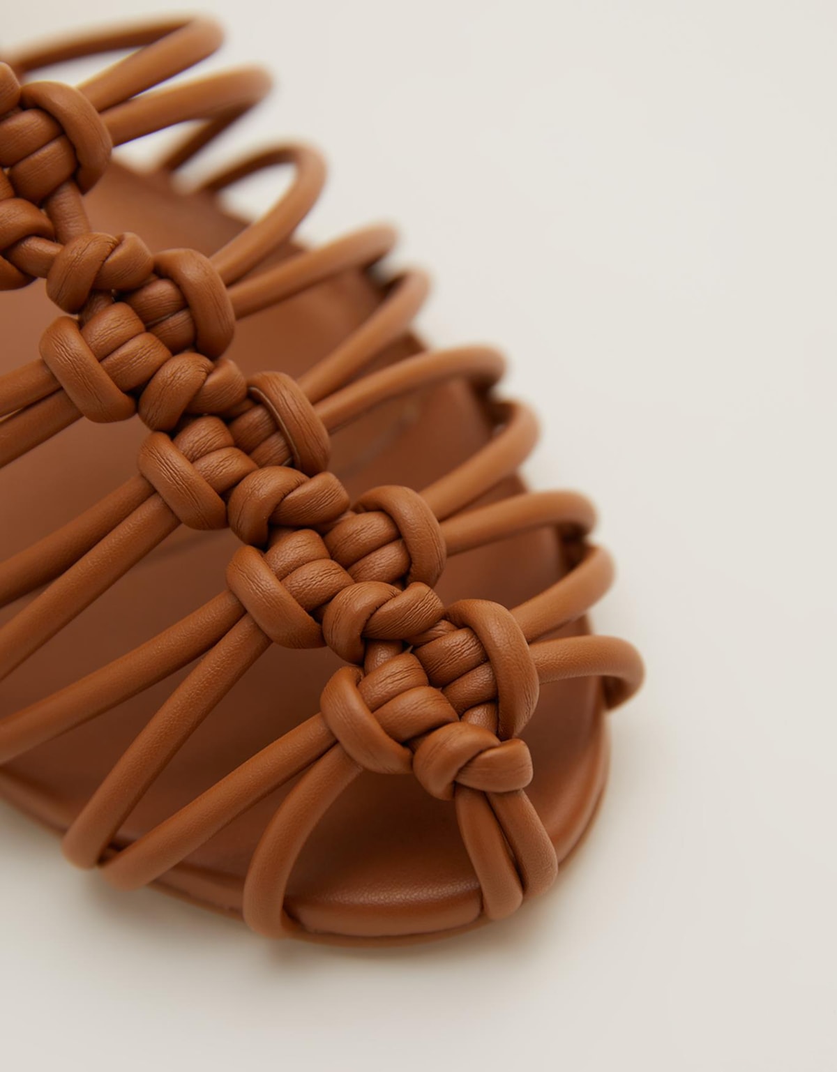 image_2270ccbd-db93-4349-b582-c32e82da3326