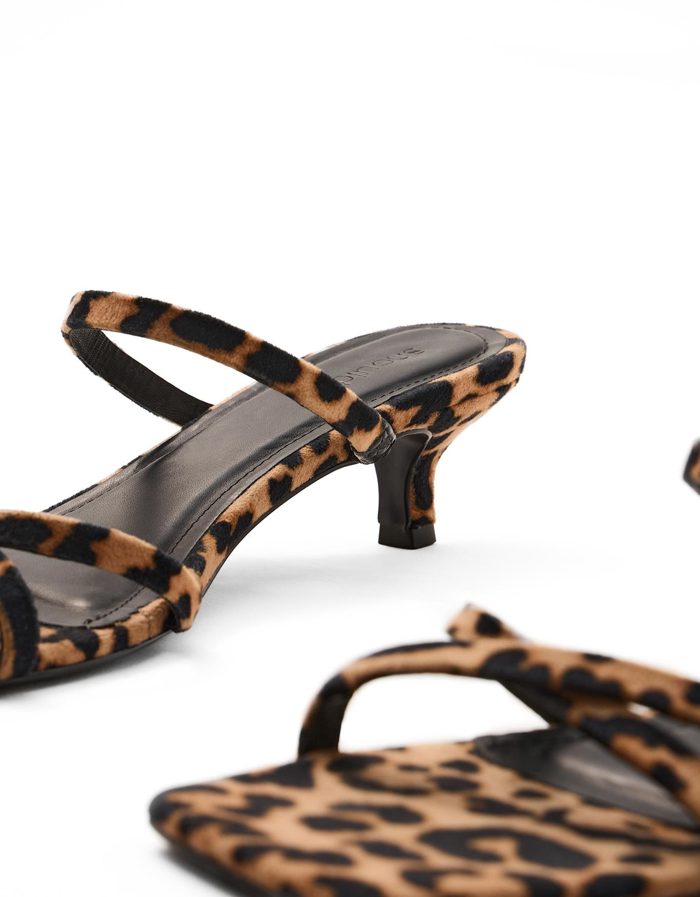 image_8d8d0197-fe1d-4576-be84-38a8c46d1189