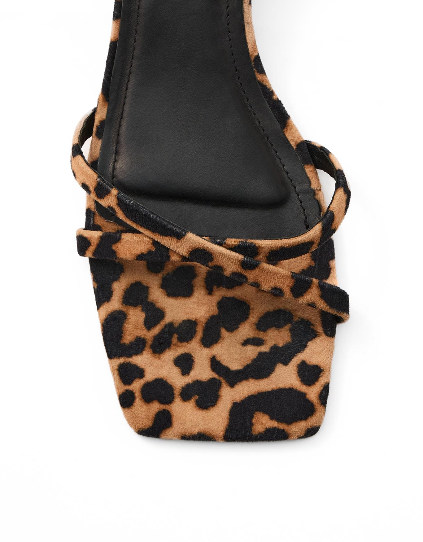 image_1a464dbf-1d98-4141-b153-a70c5b0b3245