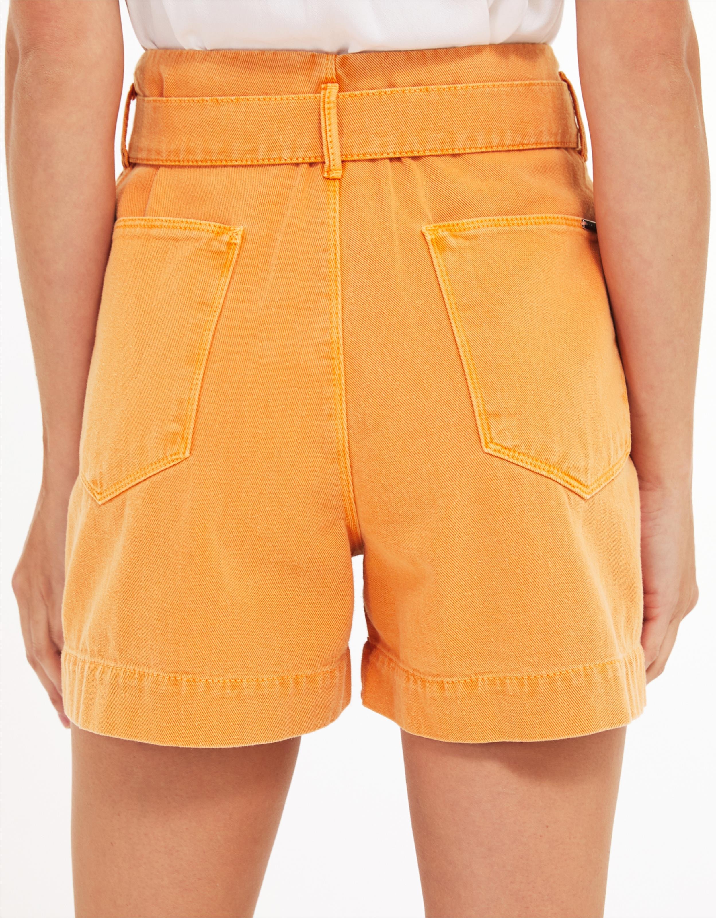 image_76dd45d2-2ffc-4c6f-bbe9-1a3cf4e21987