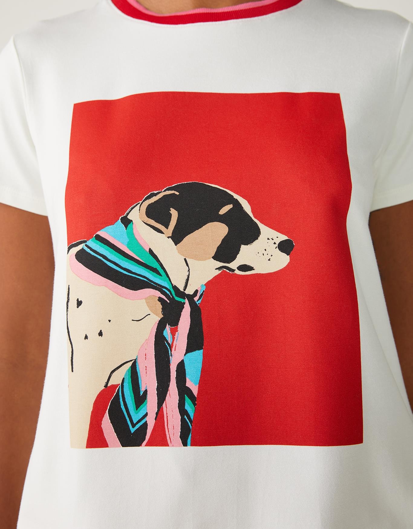 image_ae70f2c1-244a-4636-8774-cf1d731ab9f9