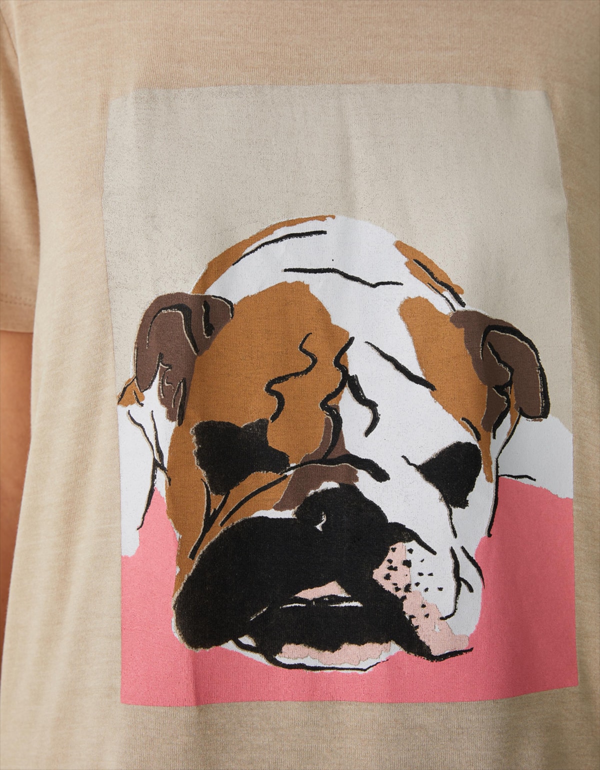 image_eb7d1b83-553f-44e7-a085-5724af6ea84d