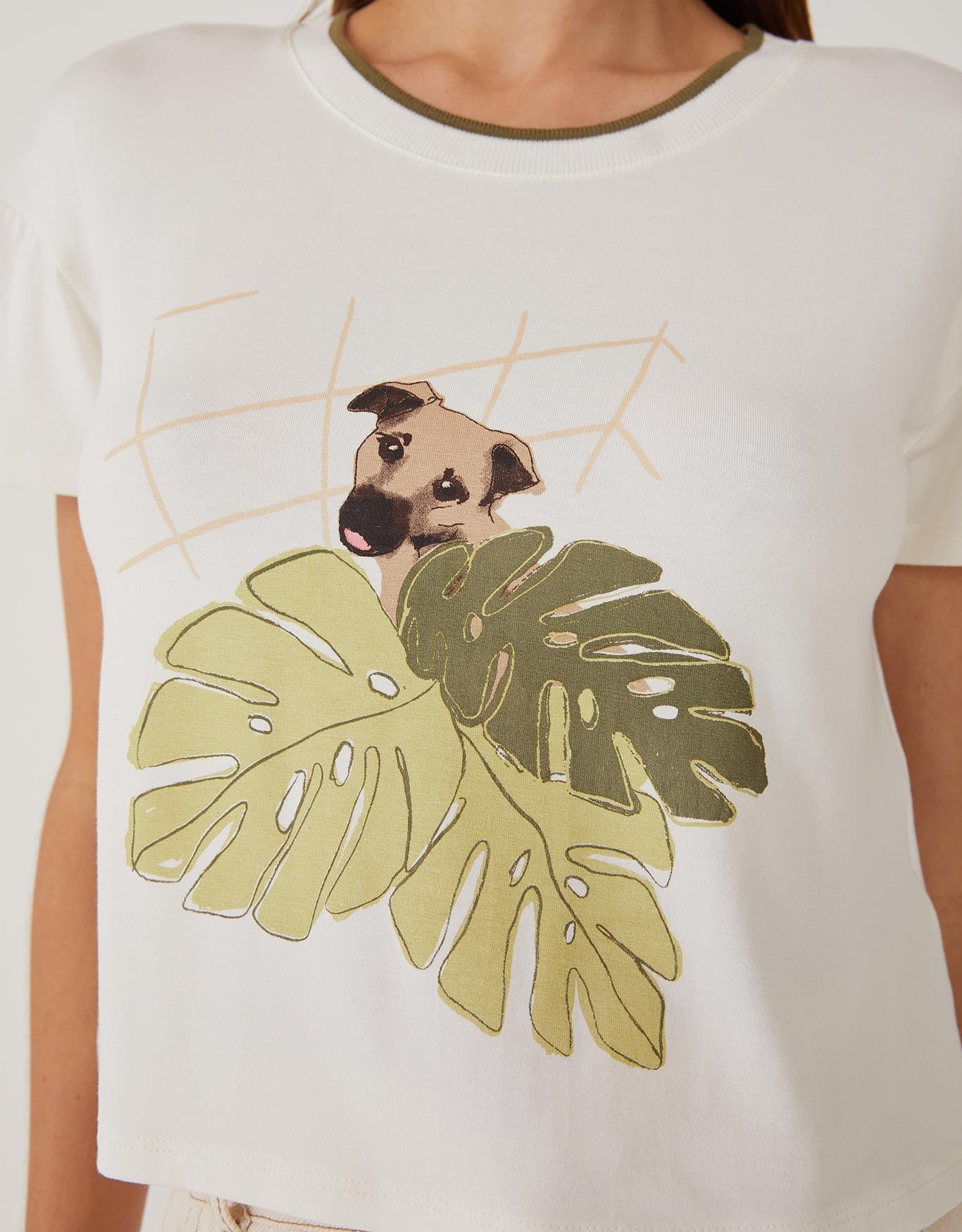 image_6970ef4c-a063-4569-832c-7e560d30f747