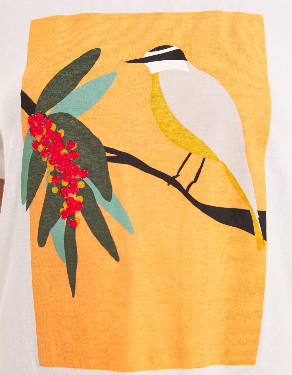 image_2540ca4b-31a4-4fa0-b387-8ffa2ccc85a1