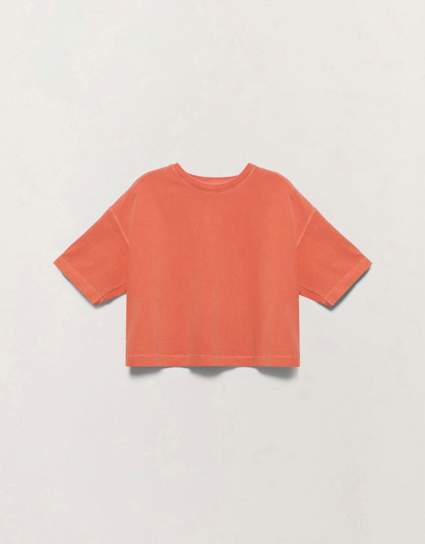 image_f611739d-41a5-4490-af49-599a5e95043d