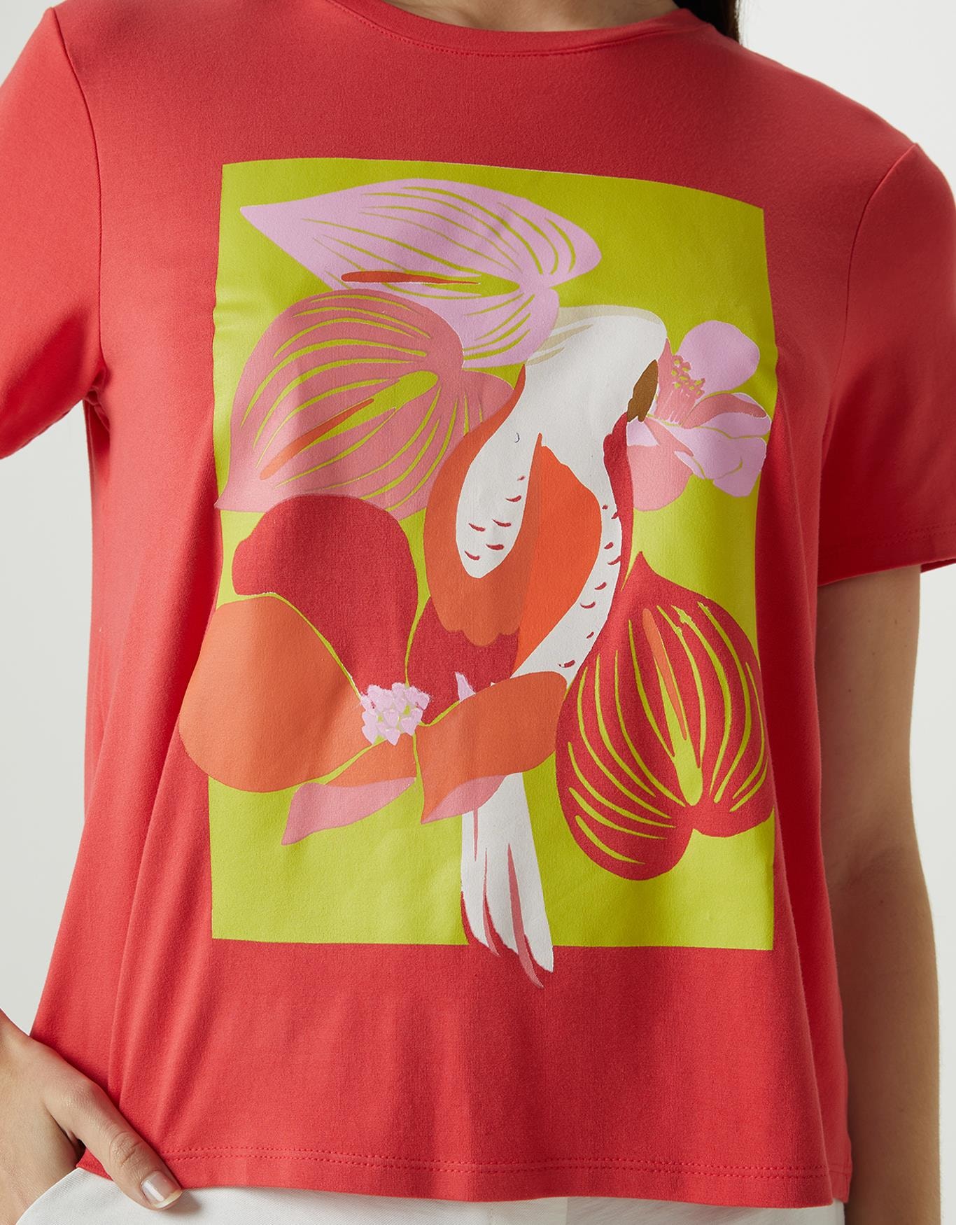 image_8ef18dbb-8838-406c-bb20-6cfd386986bc