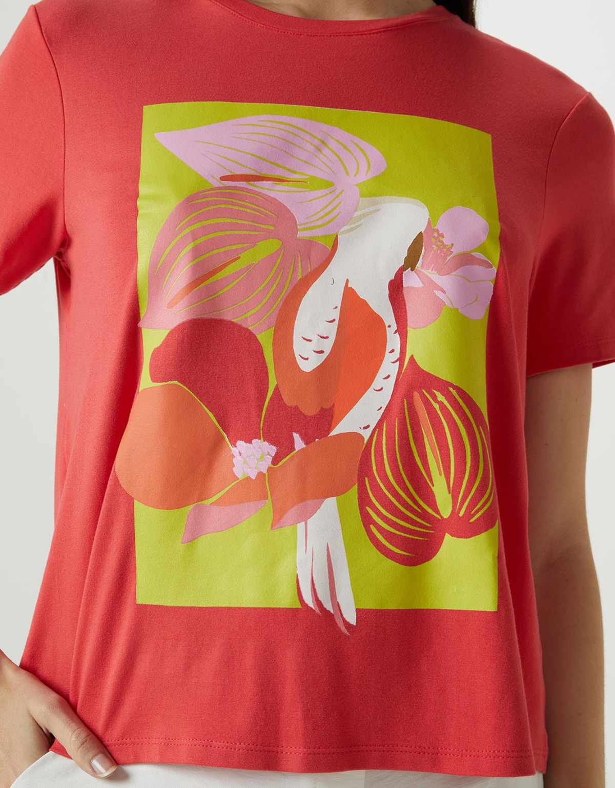 image_1ae0d3e8-8c9d-48d0-bb0a-1660363305ad