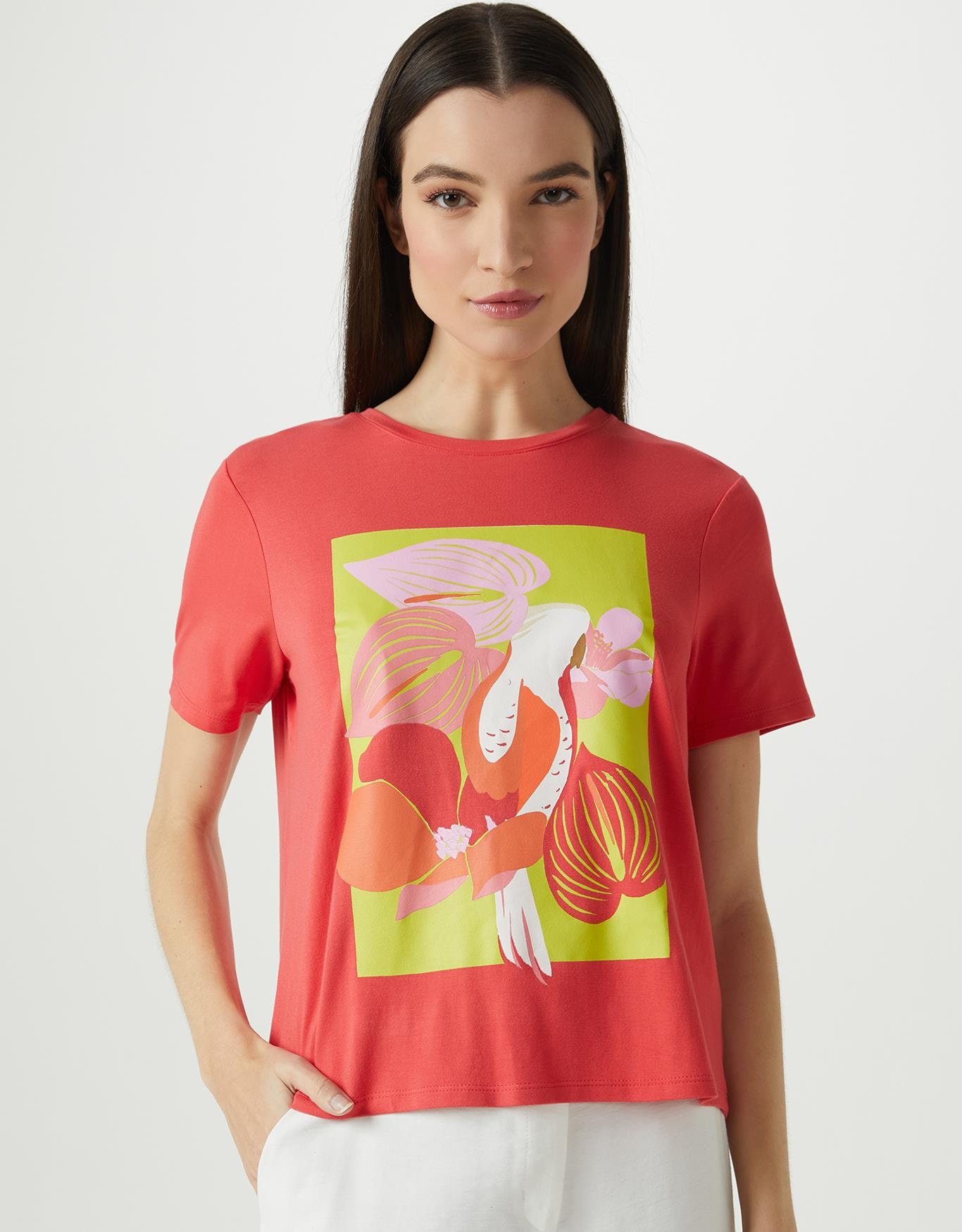 image_052c7ab0-1ad6-48b4-8067-729f353bed09