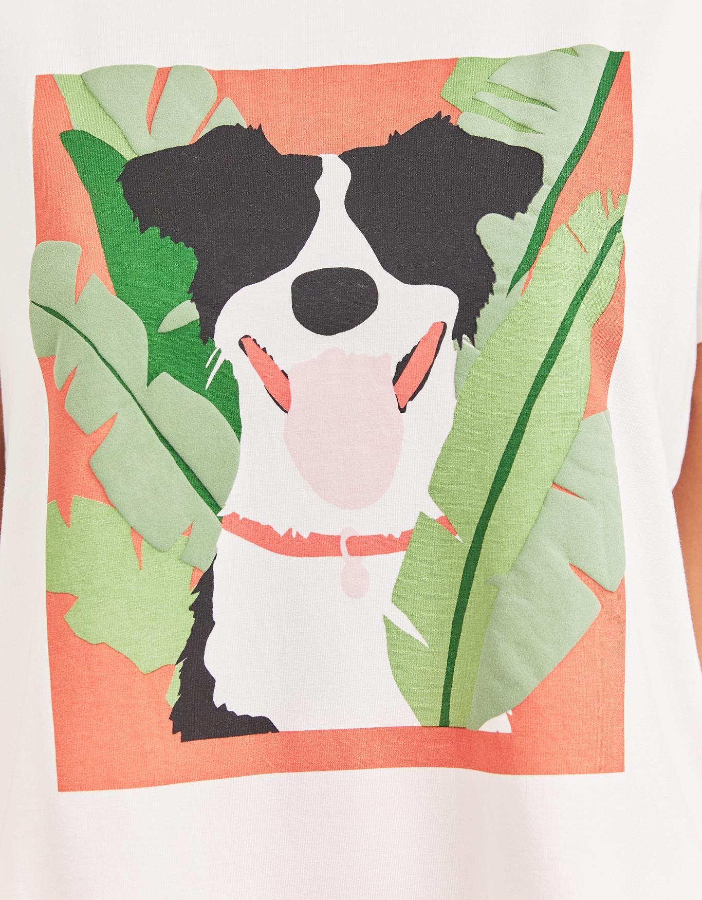 image_fe81122b-6c87-4998-93d1-8682f5803eb7