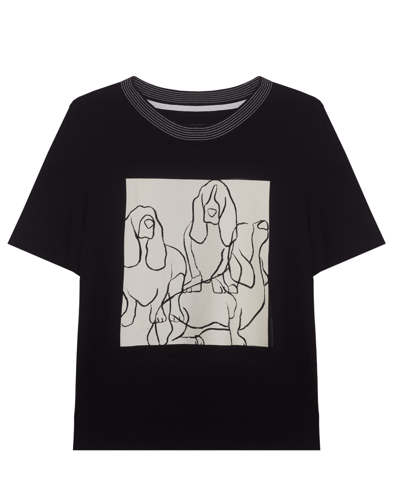 image_6be23887-3a02-4eb7-bbef-9bb0fdd328e1