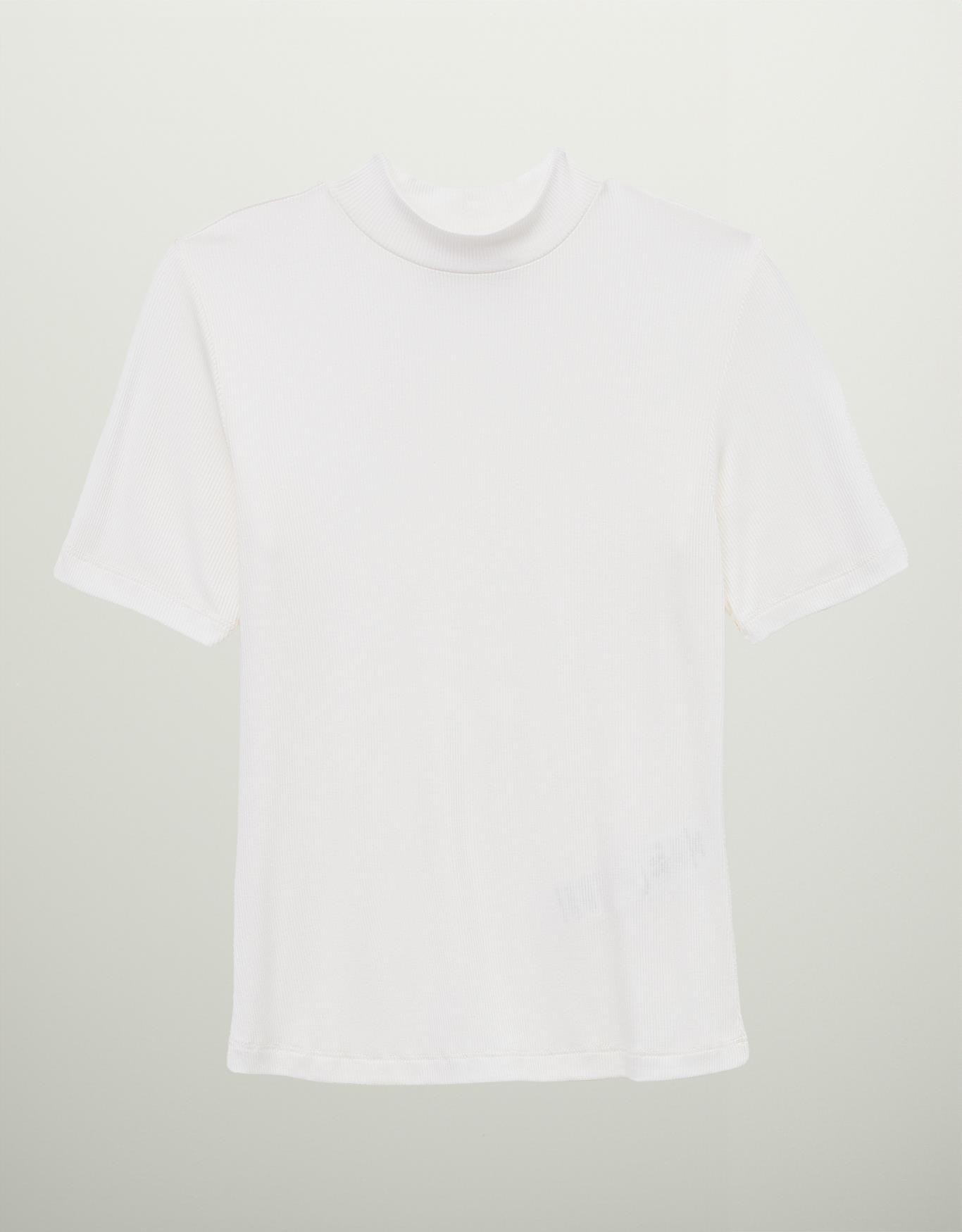 image_5dba3e73-7d04-4f3d-9c11-5f432941e511