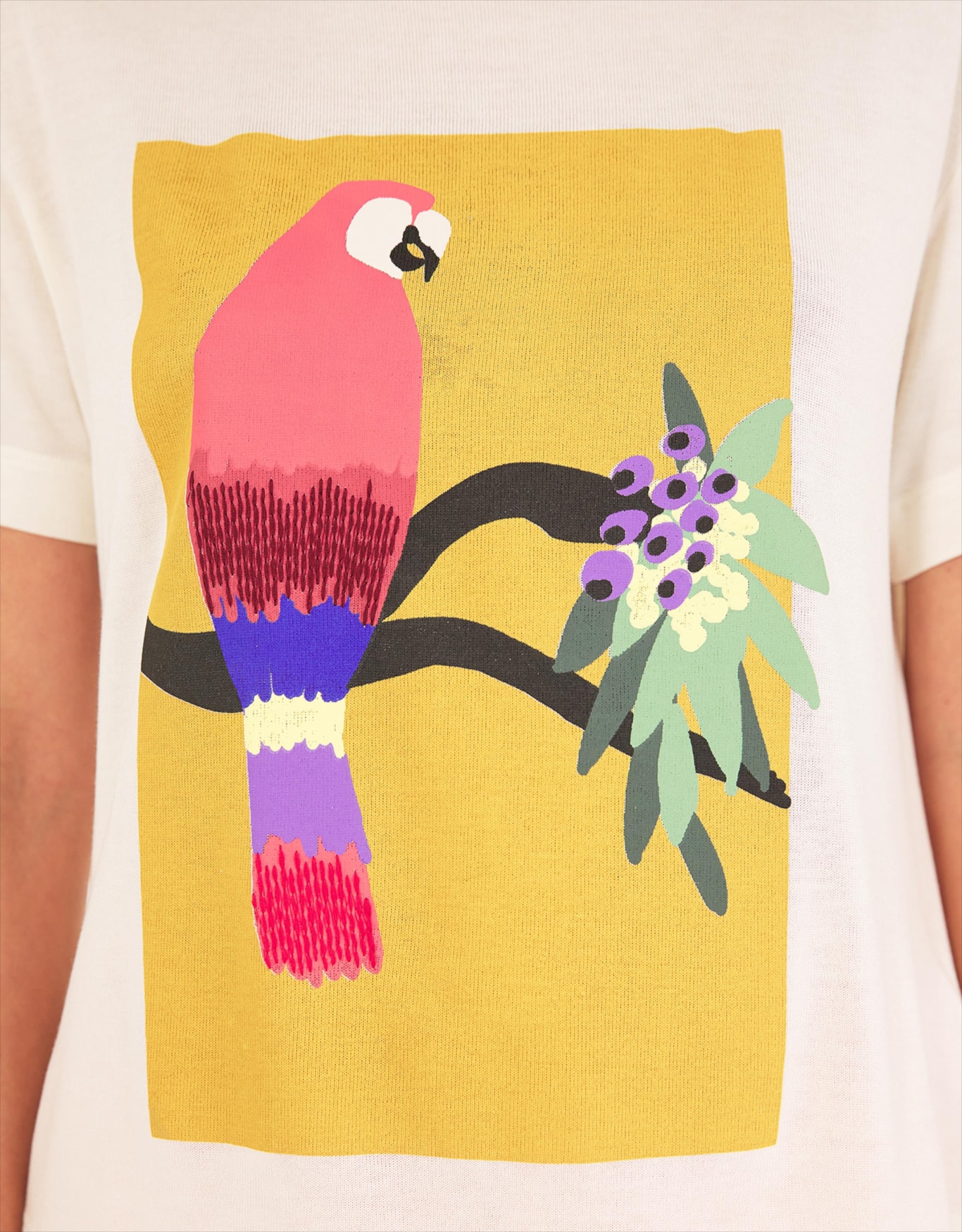 image_bf6b91d9-8d26-487d-9169-2916d0d8583a