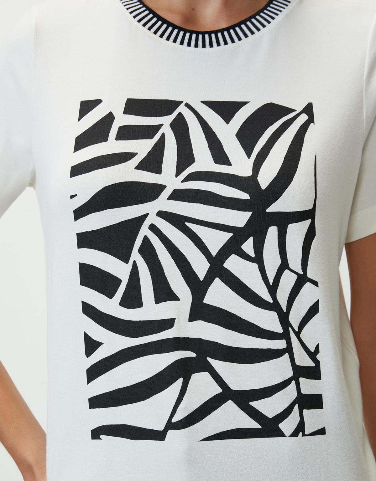 image_31651a3f-0b53-4b83-9ade-55f36481f8ae