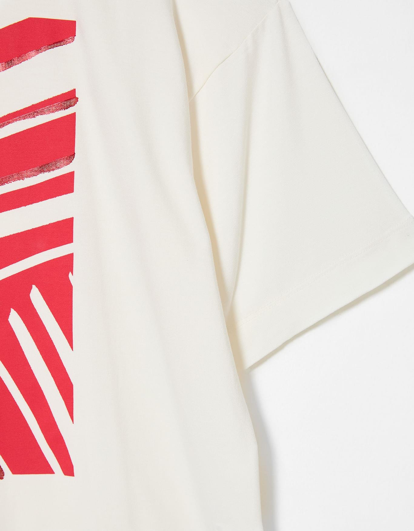 image_e5d0f10b-e0b7-445e-aa13-3681a255a7c3