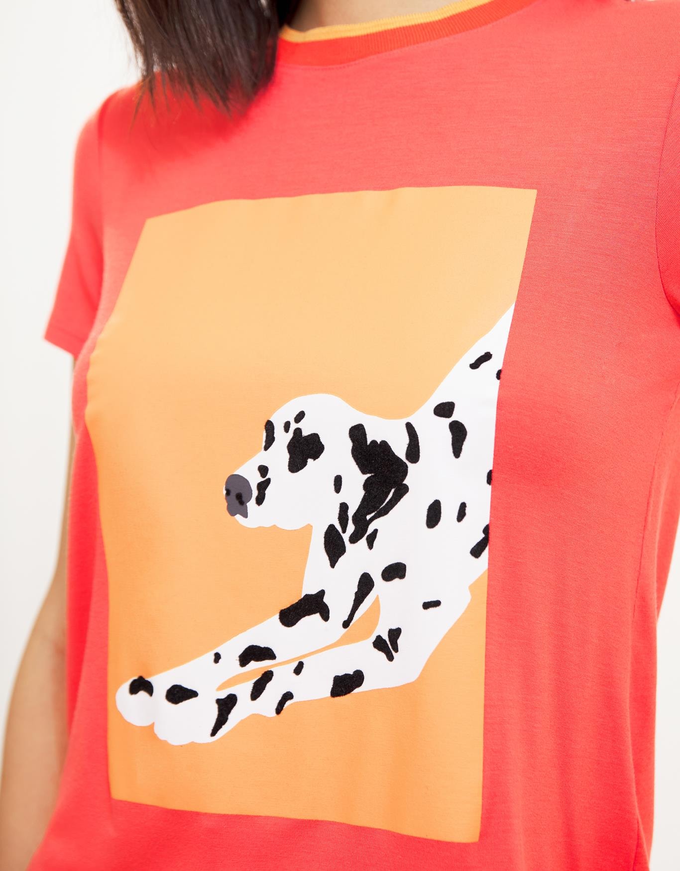 image_eed23c88-70c9-47ff-ad8f-1a47df7328ea