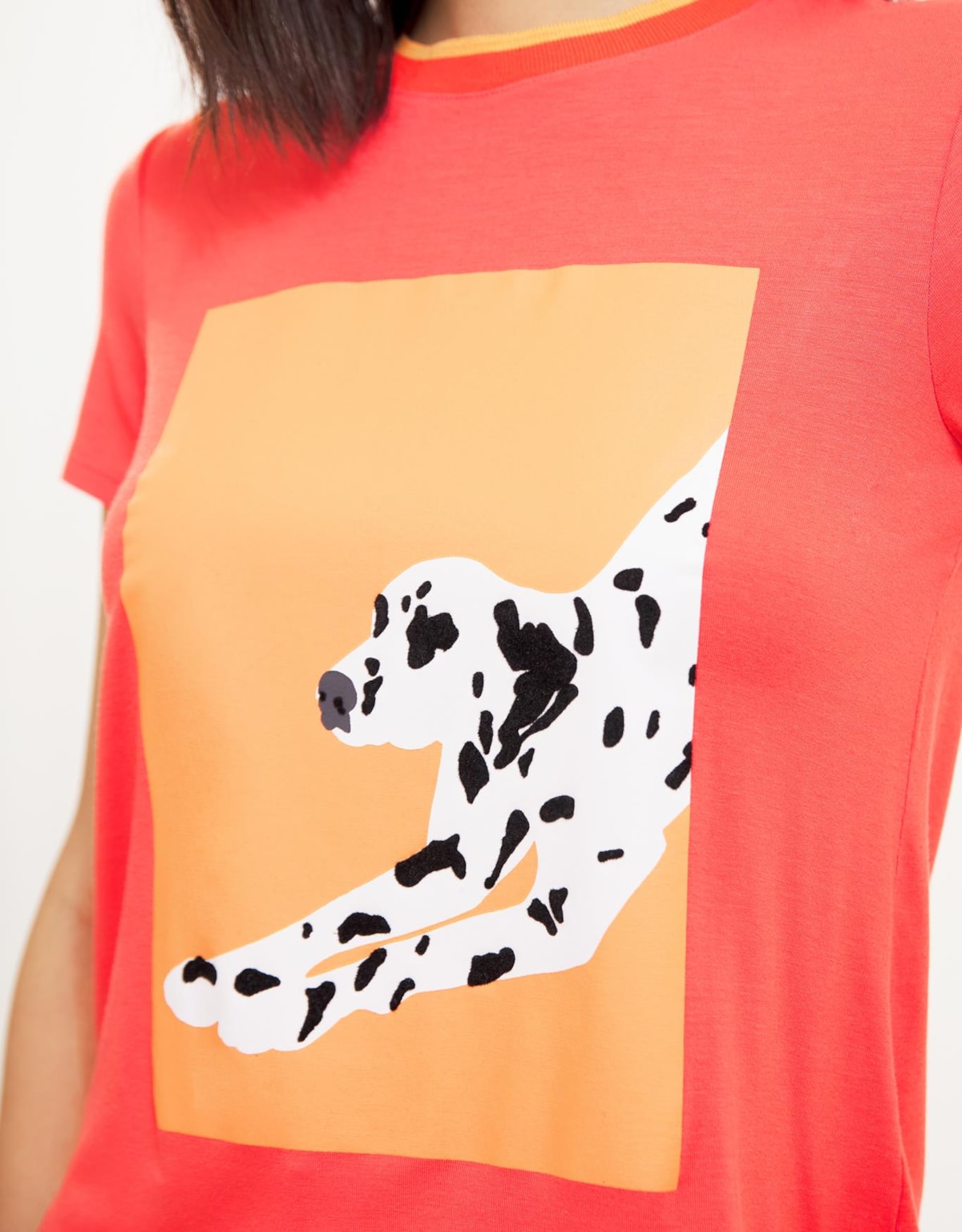 image_1d8f1dba-00a6-4682-ab57-77b5a439b05a