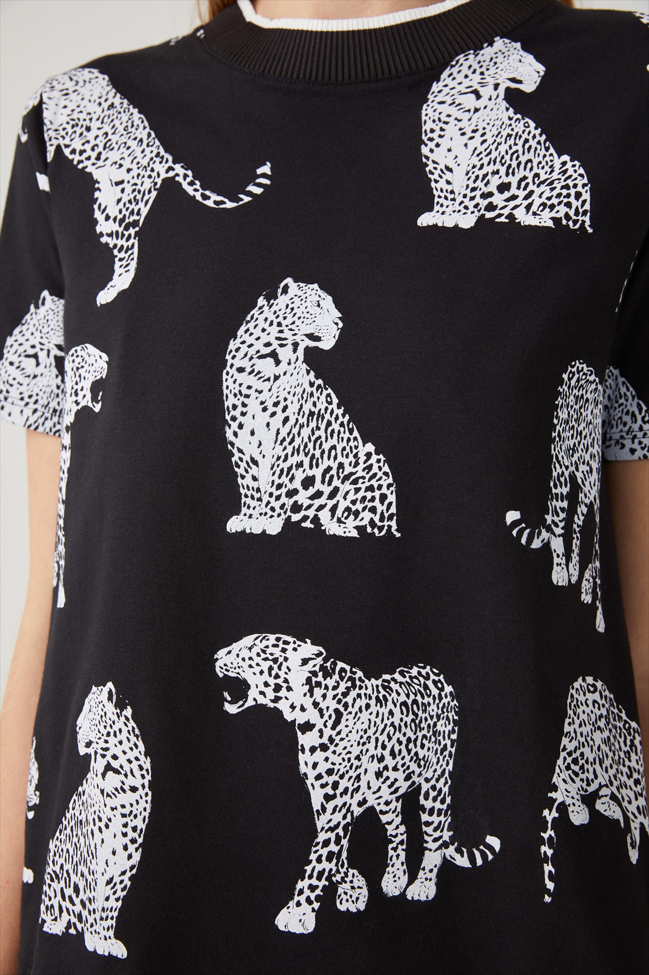 image_90177db1-b18e-4e2d-adc0-d341cec09d97