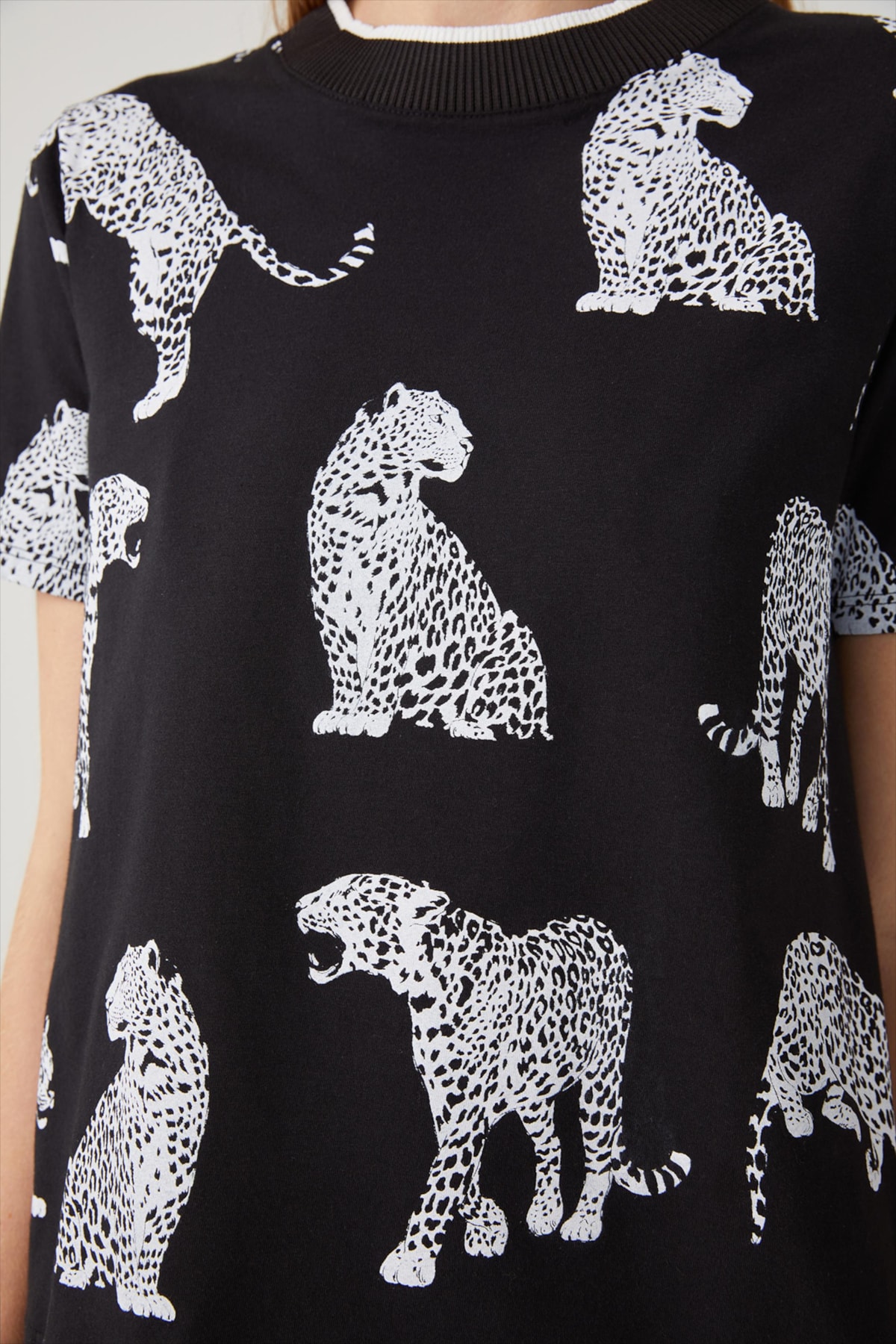 image_867edd25-ba1e-43e1-a544-a401adefd7dd