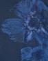 image_36316e4c-e51f-44ef-a777-74d48ac95c16