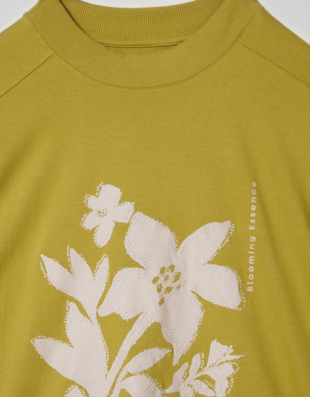 image_81f63871-0a6f-484b-bb8a-26ec4a46985f