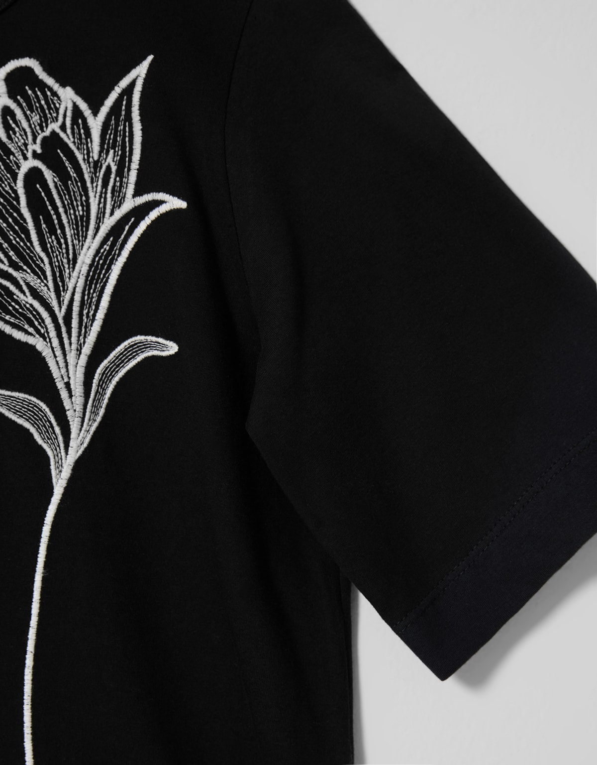 image_903a5c76-6ff7-4075-adac-f4db5319b9b7