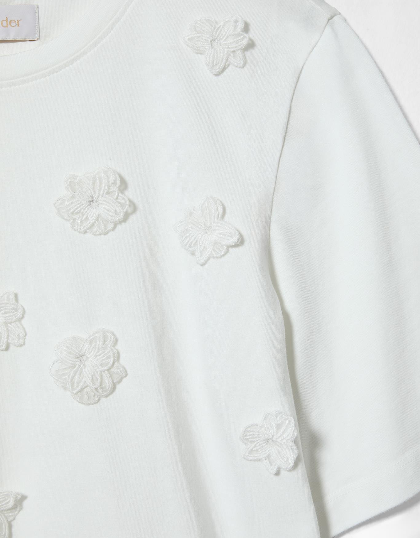 image_e81c5fc6-f5ca-4f8c-aba0-59e8d3c04ac5