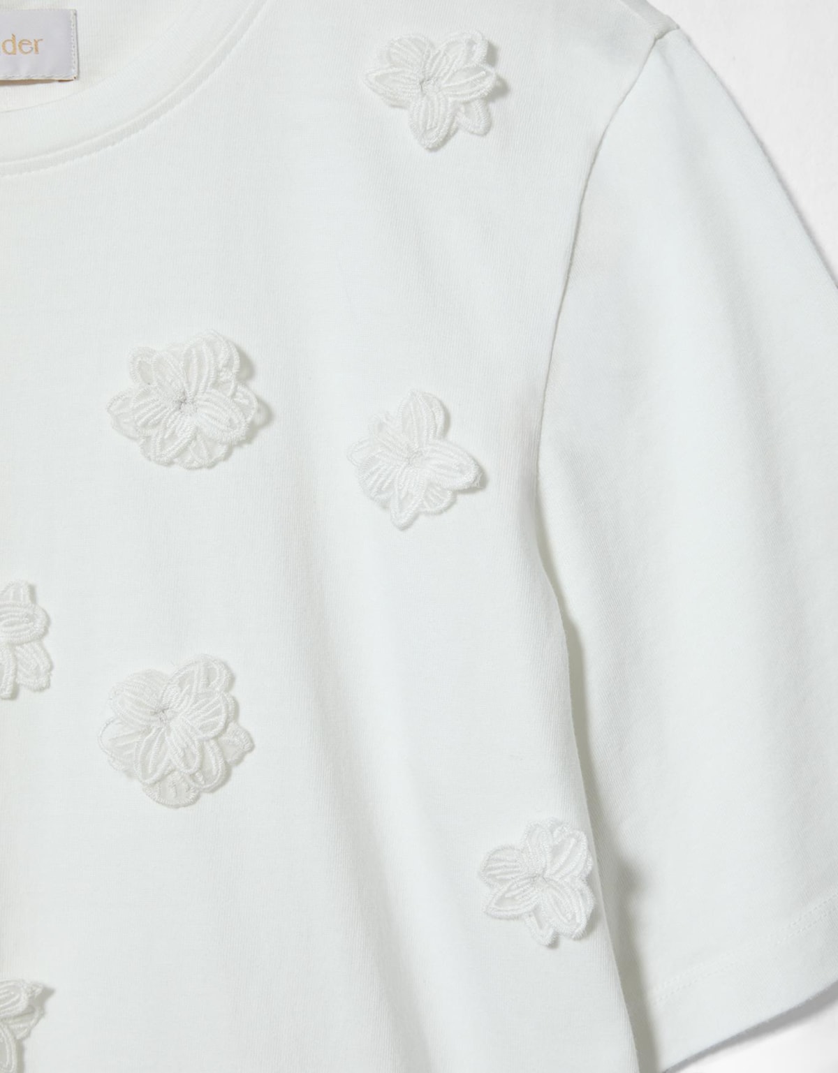 image_9ff7a3a5-ffeb-4db9-8046-610cd9464fbd