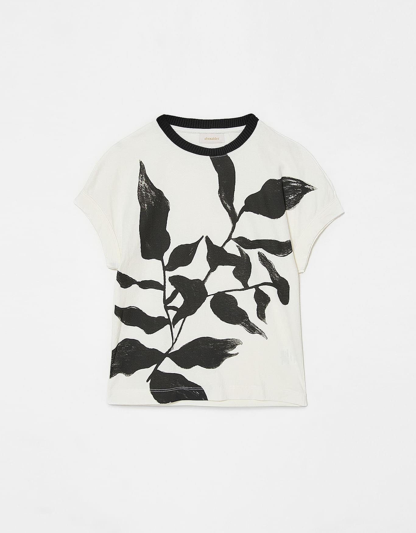 image_bd2198aa-a361-4a6e-ba97-b9688890a62d