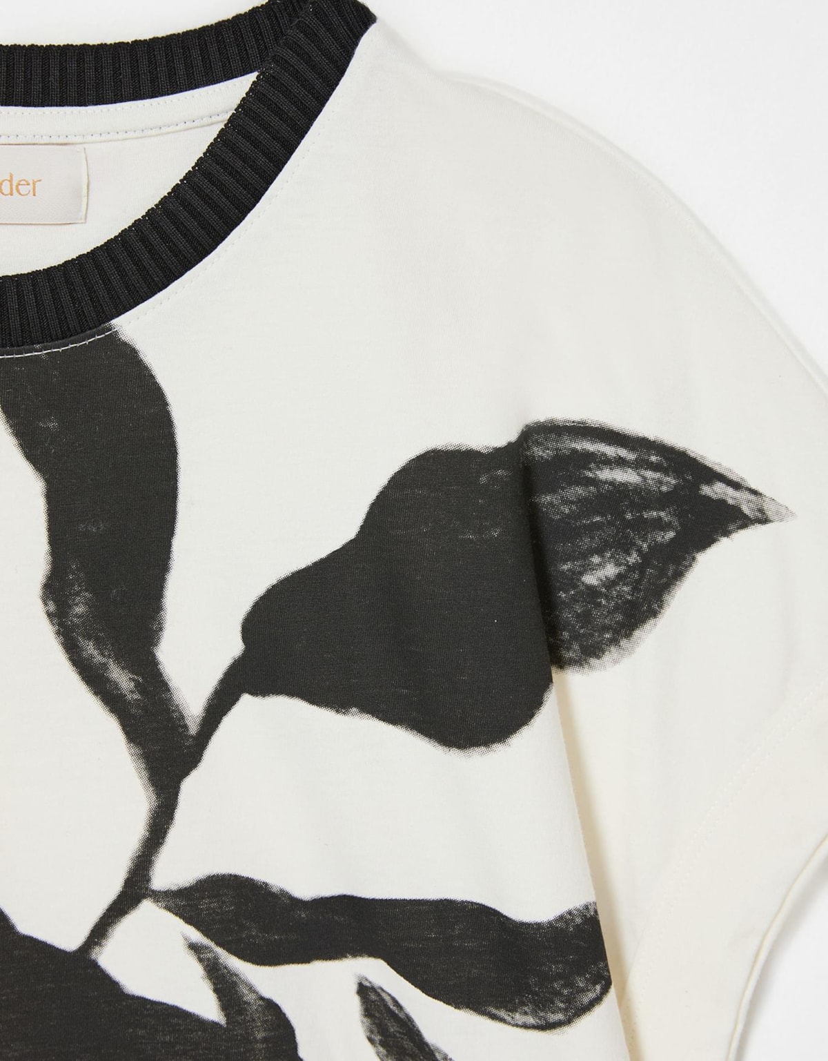 image_661aa6e7-9ae0-4bf1-a5d8-e1e62db84654