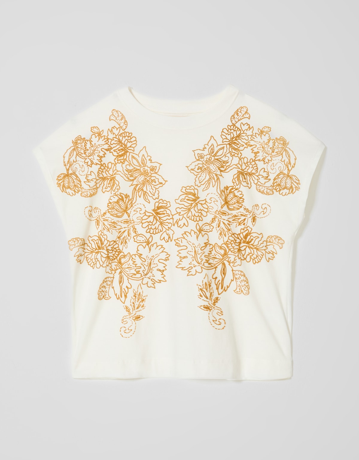 image_2b666202-9da8-4d75-b7d1-f24ae33a7659