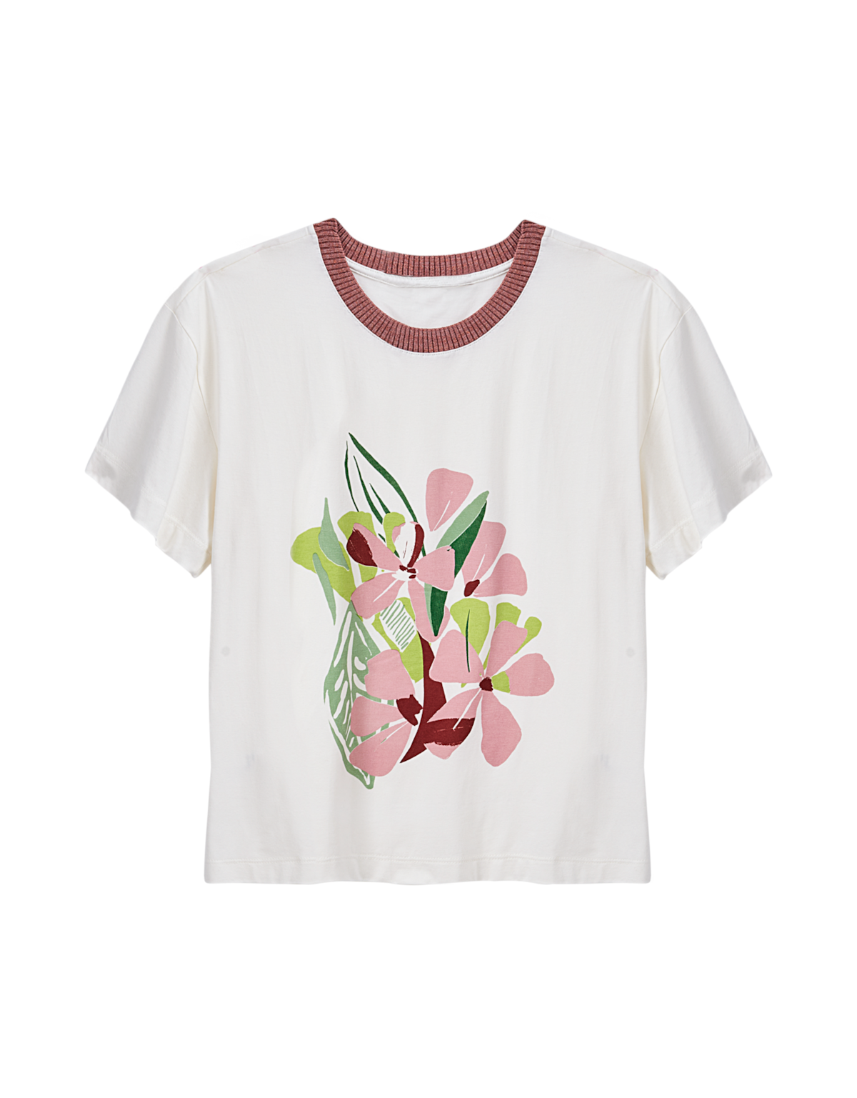 image_2eee3e8f-7dc3-4221-a1e6-d9985a31aa57