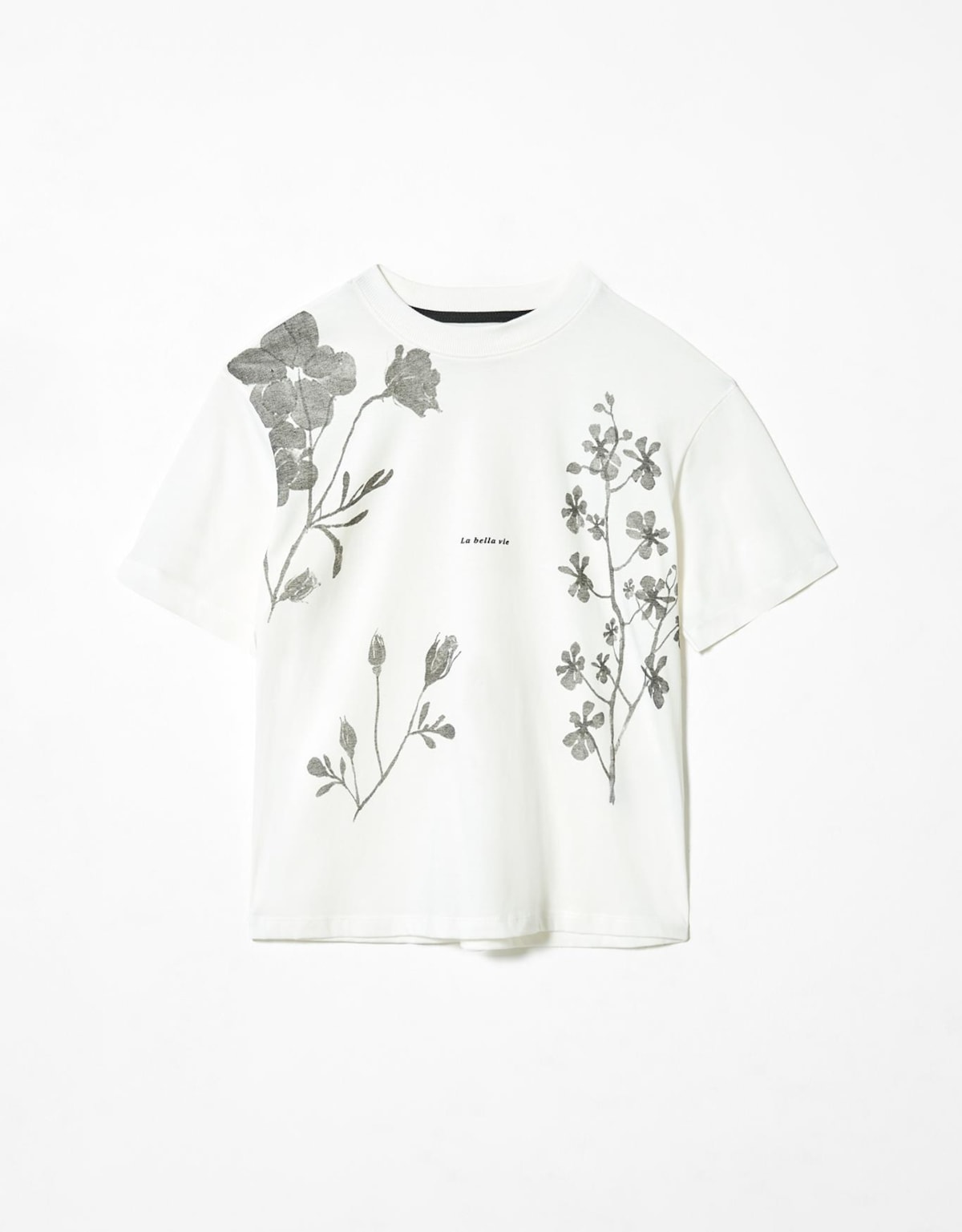 image_9d44cb28-59f4-4945-aff5-a86a7f4c6025