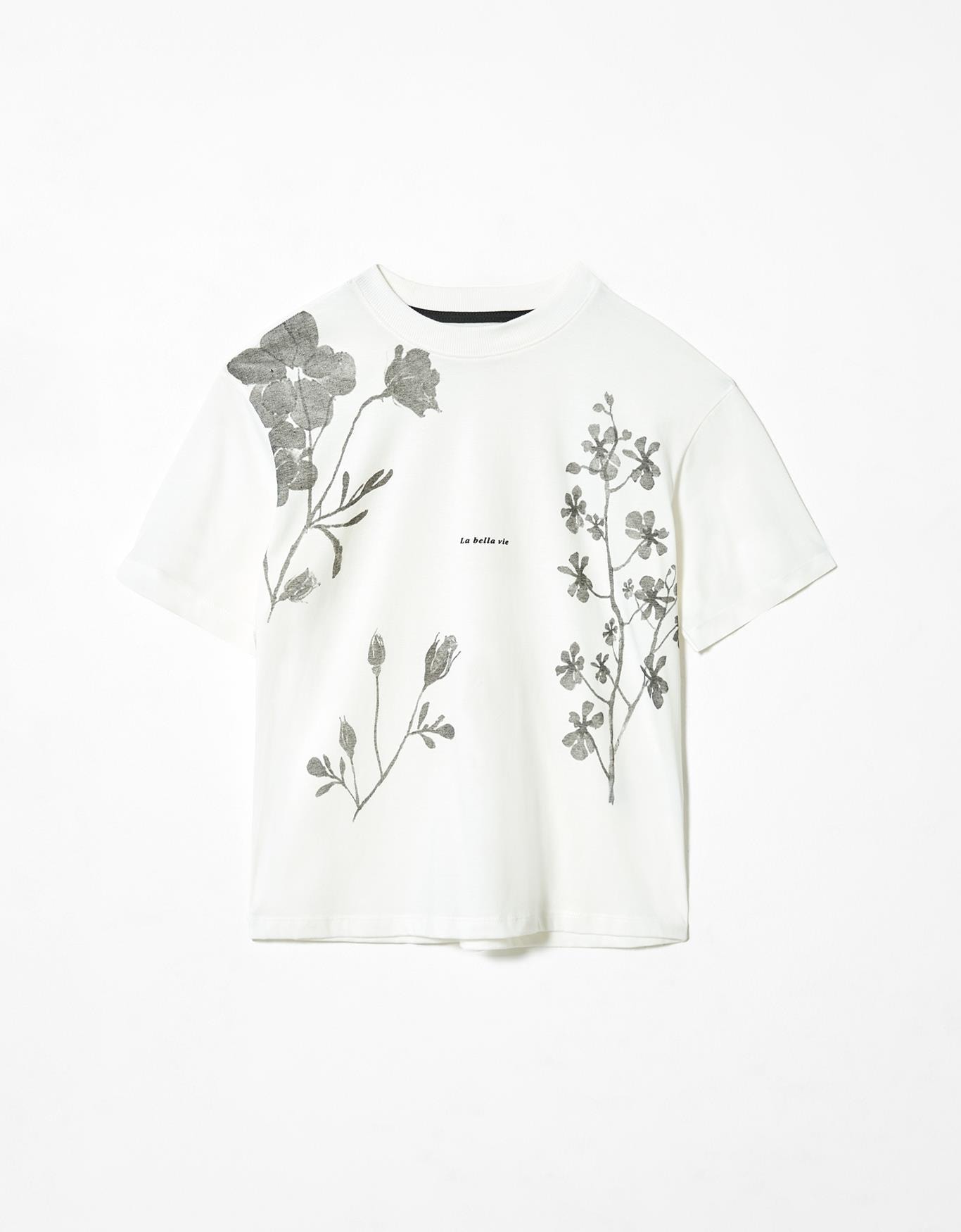 image_7594a611-8b31-4a1a-8847-c99d65fc5caf