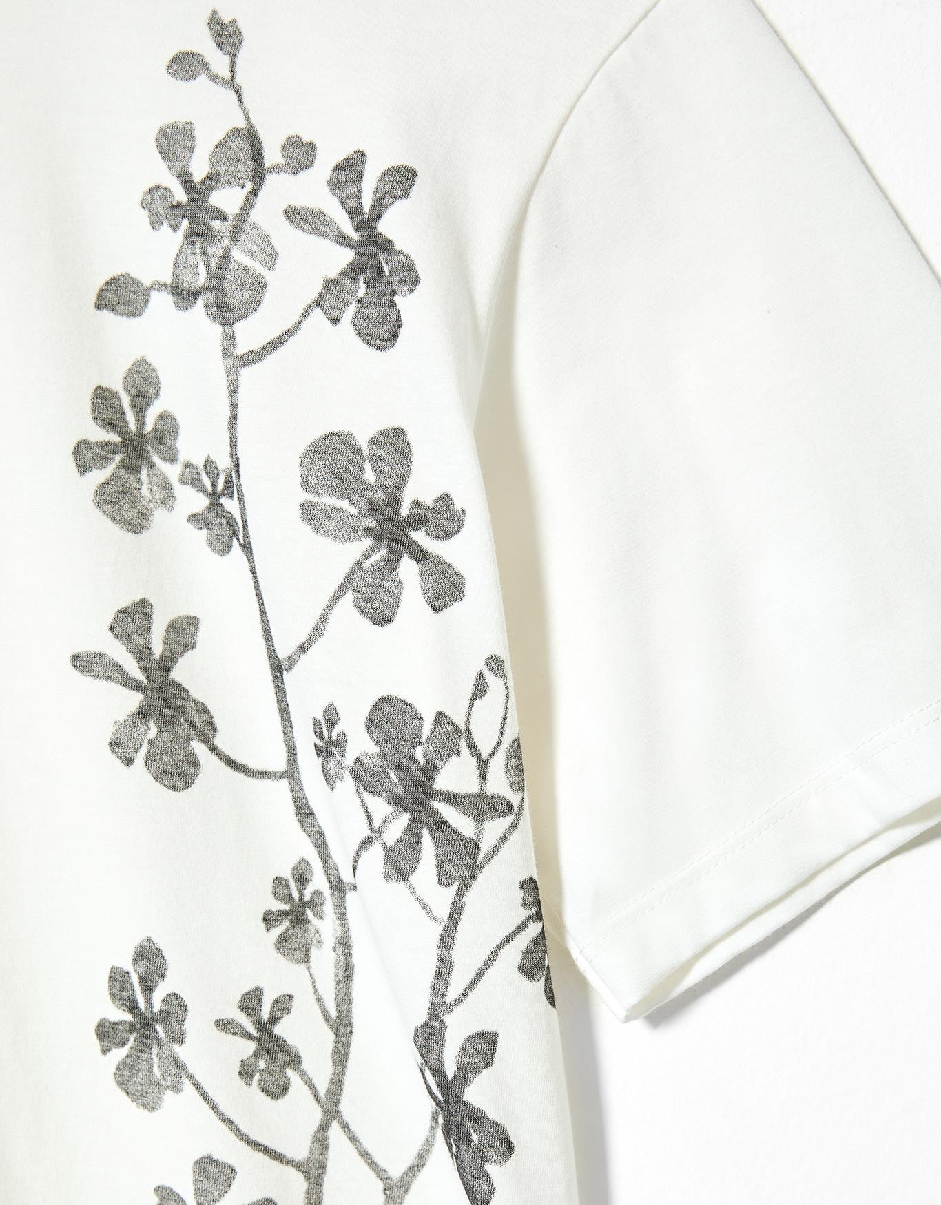 image_b0c7cc09-94e3-4b6e-bcb2-9139c6d7a61d