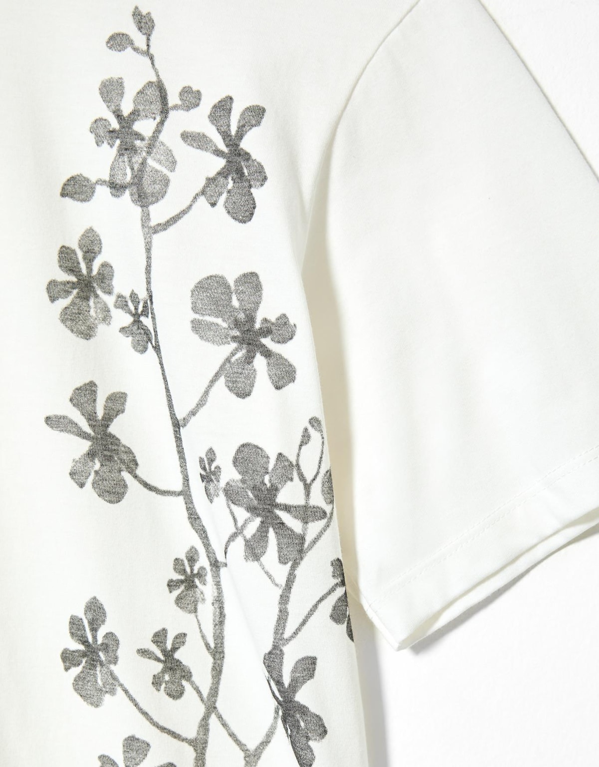 image_b77b65f4-3b66-400d-a3d1-55aa324ecbd1